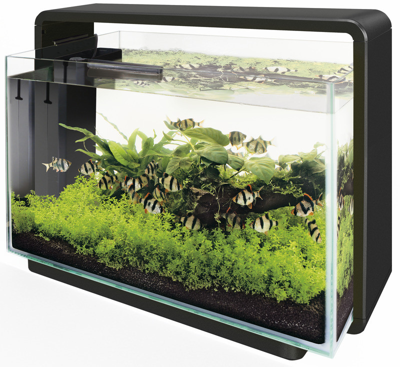 SuperFish aquarium Home 60 zwart Animal Center